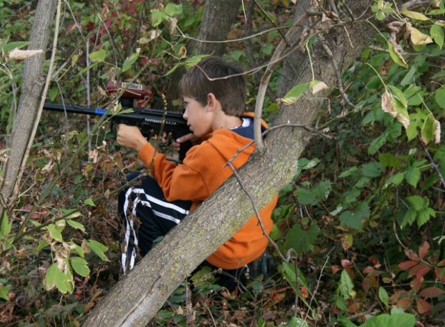  Juego de láser en el bosque 